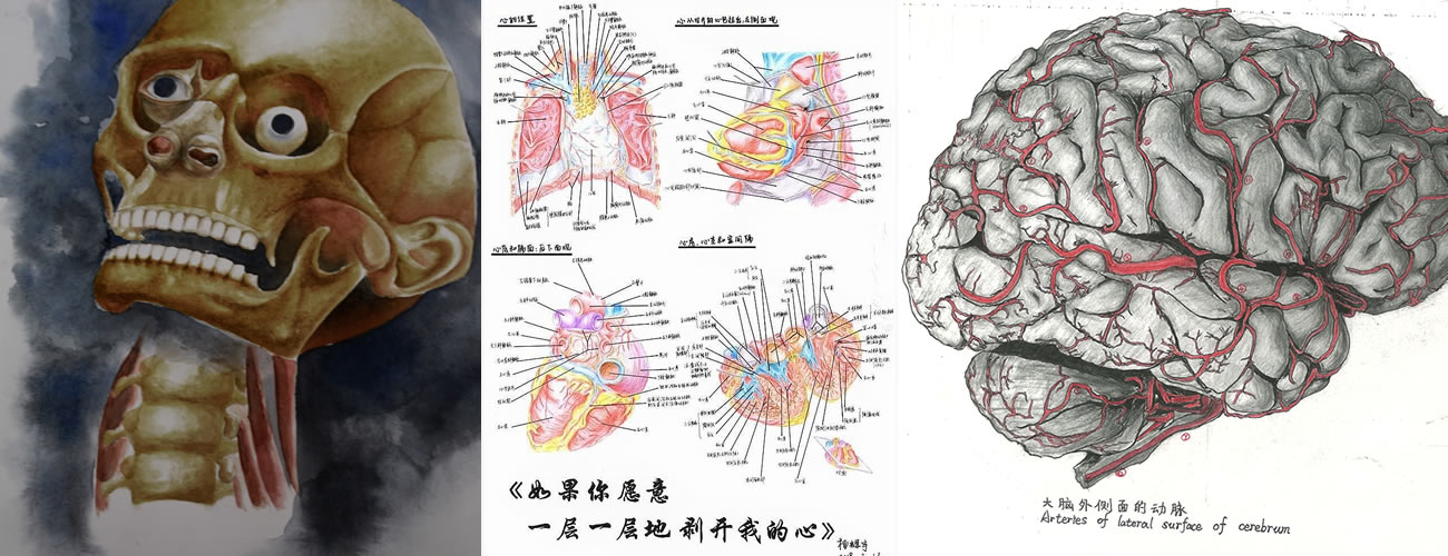 博彩公司排名