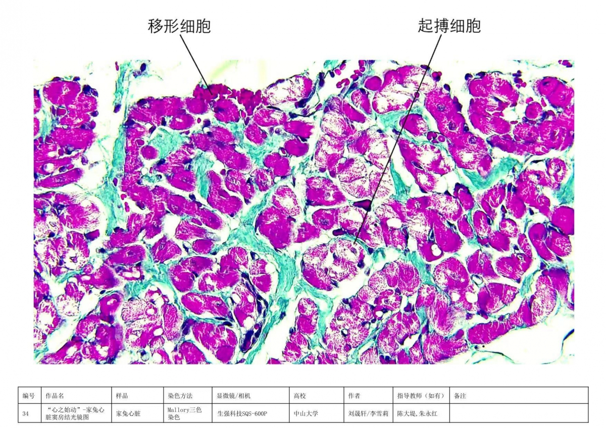 博彩公司排名