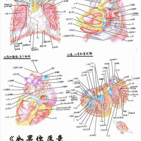 博彩公司排名