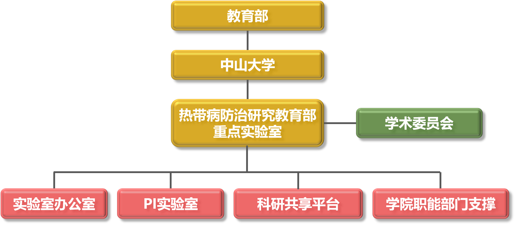 实验室组织架构